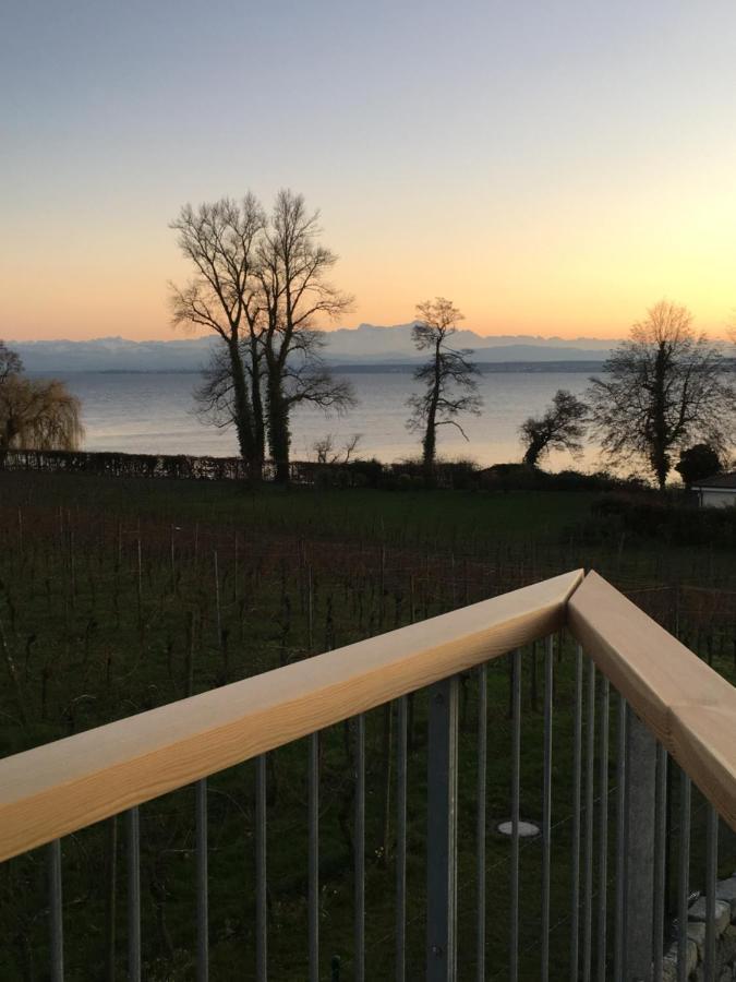 Appartementhotel Roehrenbach Immenstaad am Bodensee Exterior foto