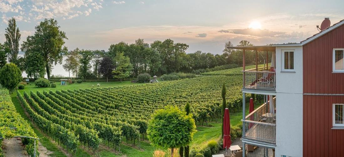 Appartementhotel Roehrenbach Immenstaad am Bodensee Exterior foto